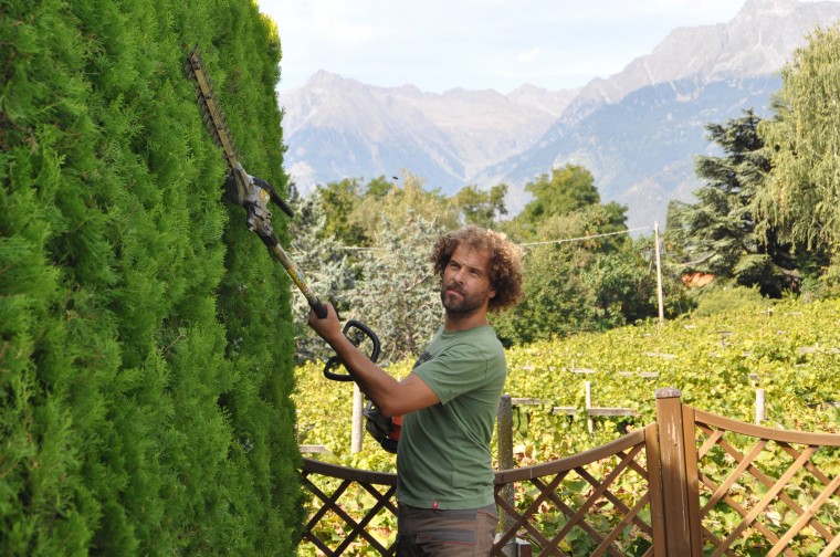 Gartenpflege und Parkpflege › Baumpflegezentrale Südtirol des Ronny