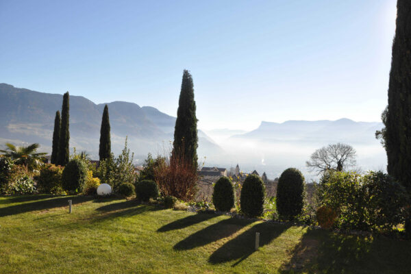 baumpflegezentrale-04