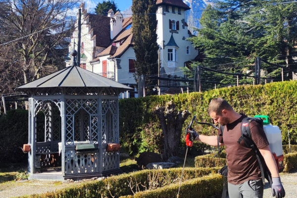 baumpflegezentrale-10